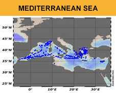 EMODnet Chemistry - Contaminants data collections in the Mediterranean Sea