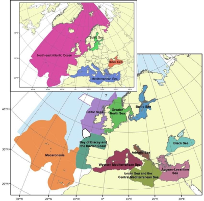 The MSFD European marine regions and sub-regions