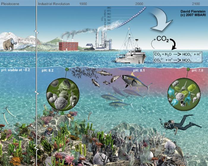 Changes in atmospheric CO2 and consequences on the oceans