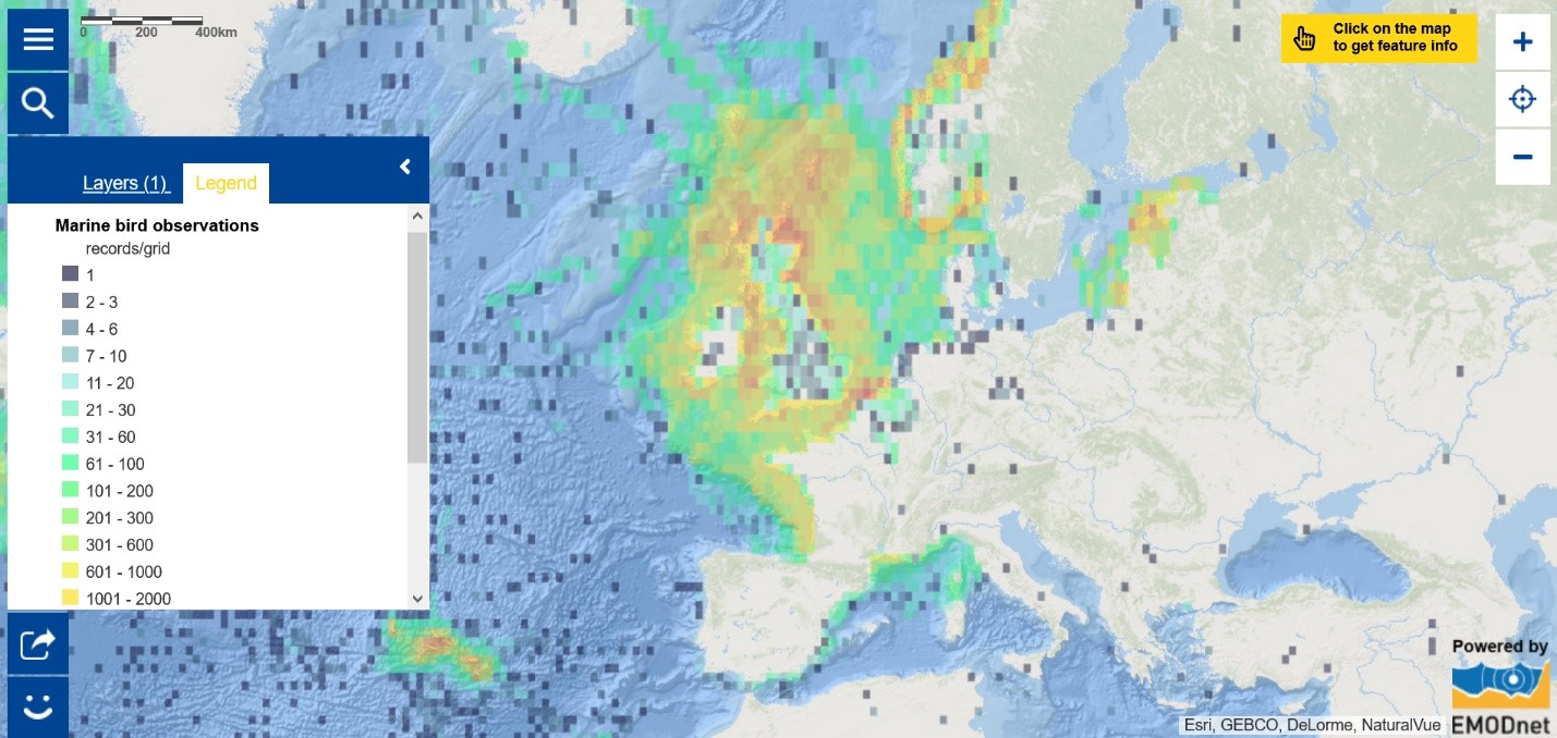 Map of the Week – Marine bird observations