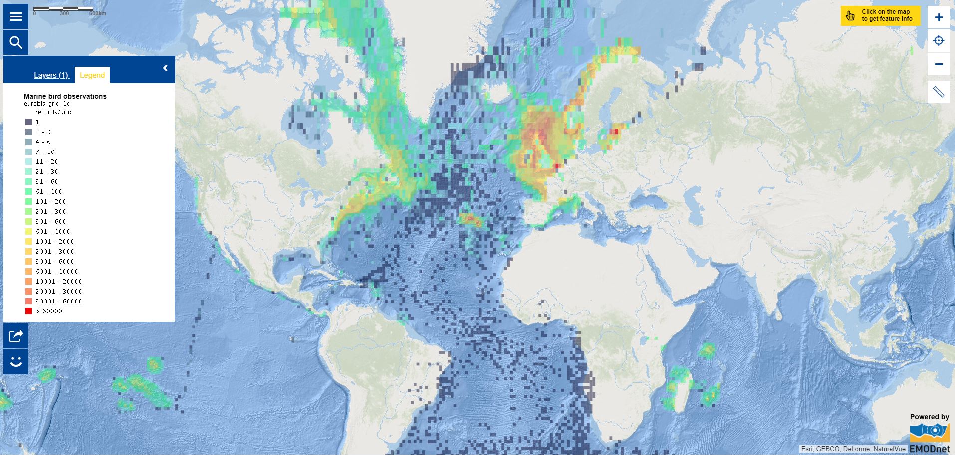 Map of the week – Marine bird observations | European Marine ...