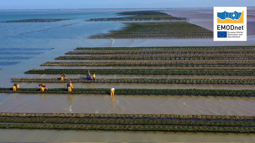 Aquaculture Farms Aquaculture Farms