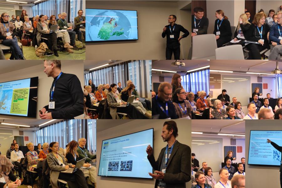 Some pictures of the kick-off meeting for the continuation of EMODnet Chemistry for the period from 3 October 2023 to 2 October 2025(©EMODnet Chemistry)