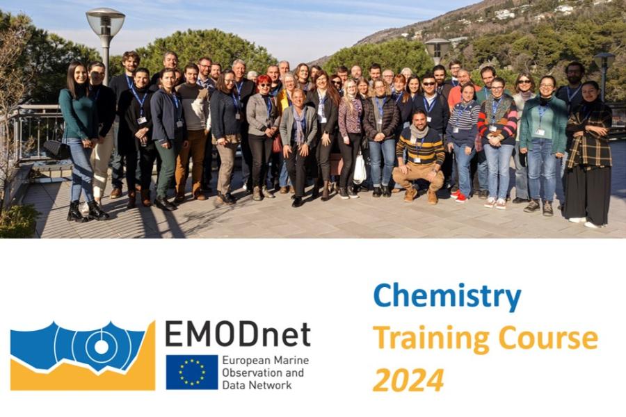 Participants of the latest EMODnet Chemistry training course