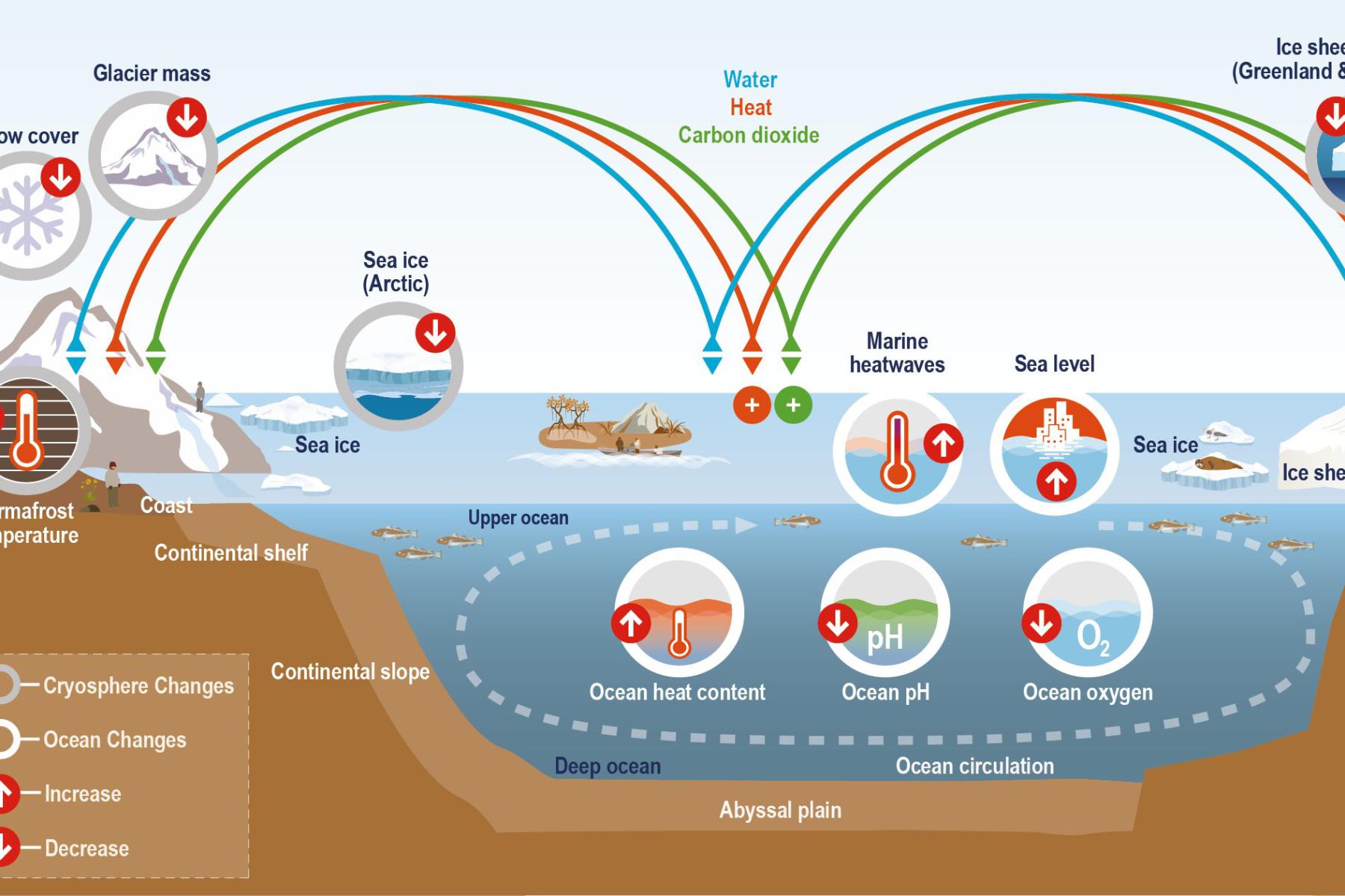 Schematic illustration of key components and changes of the ocean and cryosphere, and their linkages in the Earth system through the global exchange of heat, water, and carbon. ©IPCC (2019) Technical Summary (Pörtner H-O et al.)