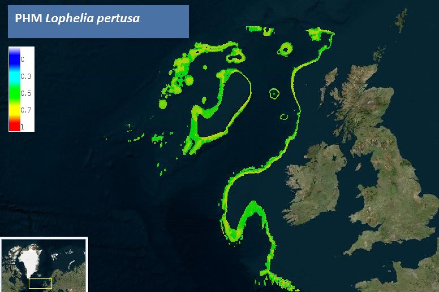 Predictive Habitat Model of Lophelia pertusa in Irish Waters (©EMODnet Seabed Habitats)