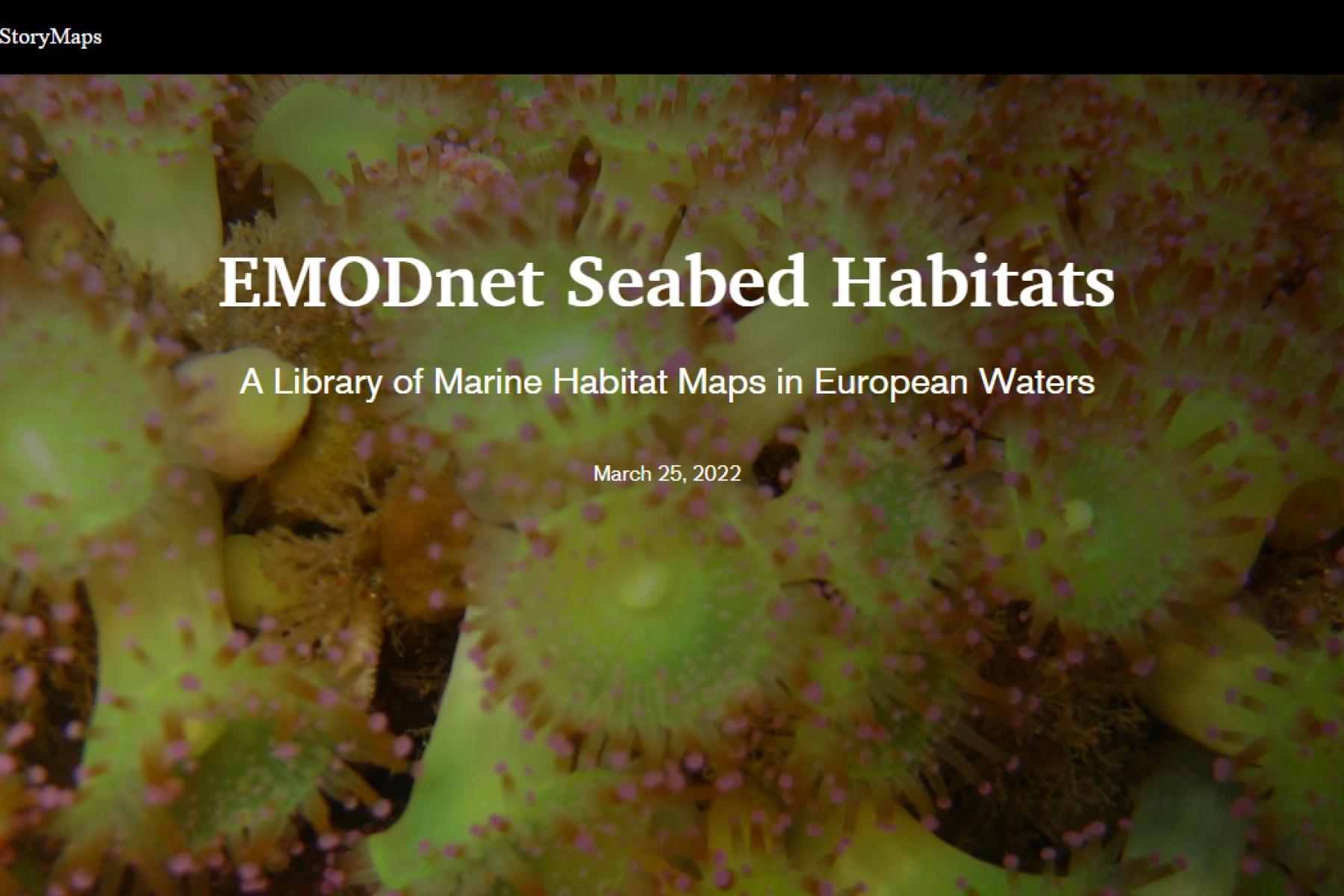 EMODnet Seabed Habitats story map. ©EMODnet