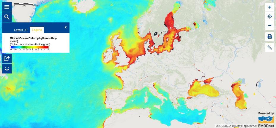 Global Ocean Chlorophyll