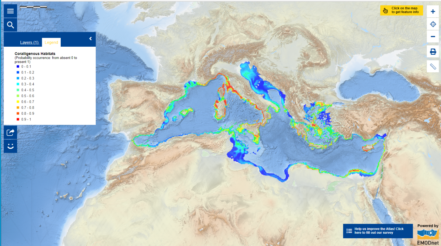 Coralligenous Habitats Coralligenous Habitats
