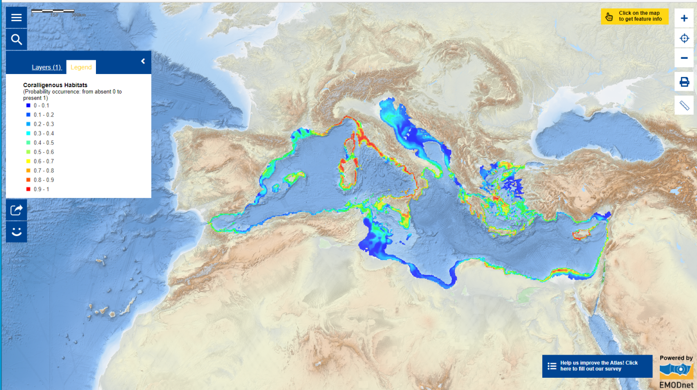 Coralligenous Habitats