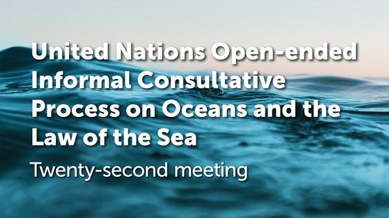 22nd Meeting of the United Nations Open-ended Informal Consultative Process on Oceans and the Law of the Sea (© United Nations - Office of Legal Affairs.  All rights reserved)