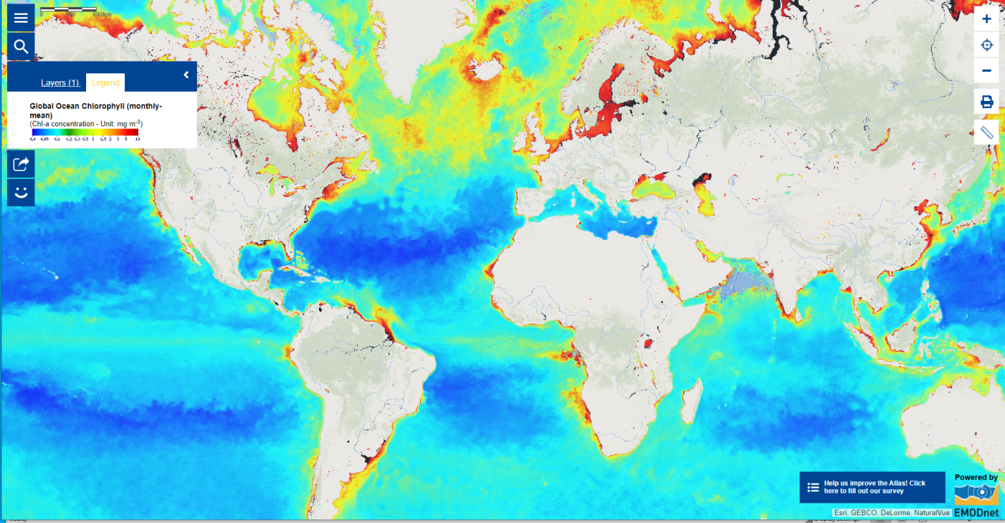 Monthly global surface ocean chlorophyll-a concentration