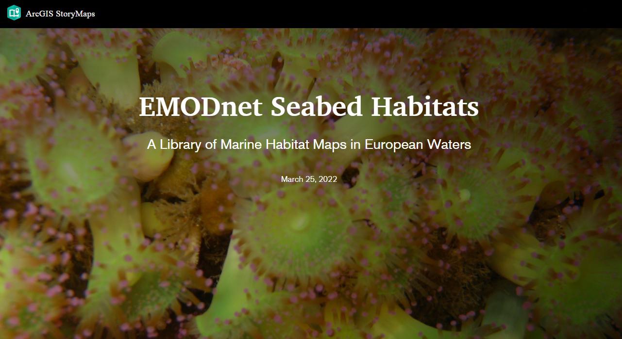 EMODnet Seabed Habitats story map. ©EMODnet EMODnet Seabed Habitats story map. ©EMODnet