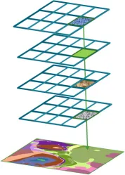 Predictive habitat map