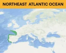 North East Atlantic Ocean - Seafloor litter aggregated datasets 