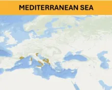 Mediterranean Sea - Seafloor litter aggregated datasets