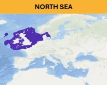 North Sea - Seafloor litter aggregated datasets 
