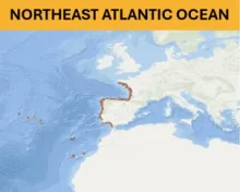 North East Atlantic Ocean - Beach litter aggregated datasets