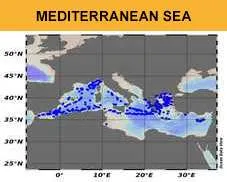 Mediterranean Sea - Contaminants aggregated datasets 1971/2022 v2024 