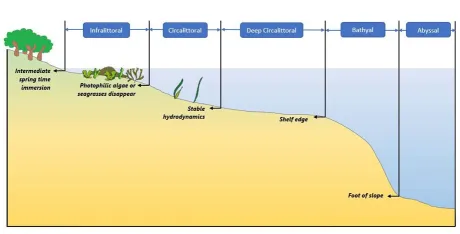 The division of marine sublittoral habitats into biological zones .