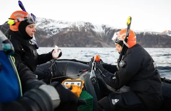 Citizen science Arctic sea expedition, 2022. 