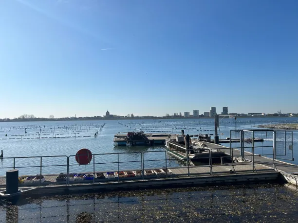 OysterBeds