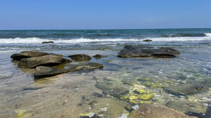 Black_Sea_Coast