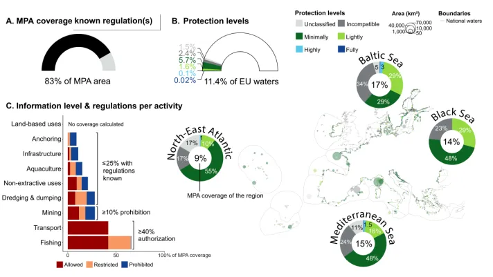 Main results of the two research papers using the EMODnet data. ©Juliette Aminian-Biquet