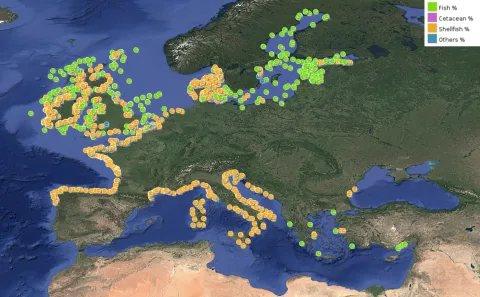 Map type “Contaminants in marine organisms” for cadmium included in the variable group “Heavy metals" ©EMODnet Chemistry