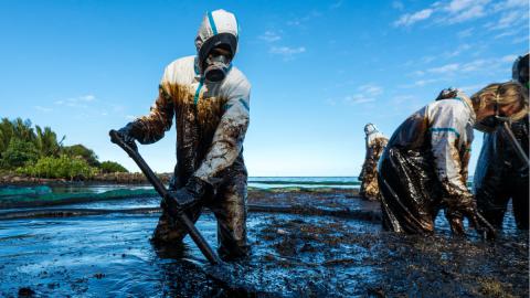 Volunteers clean oil spill, which is just one of numerous causes of marine pollution.