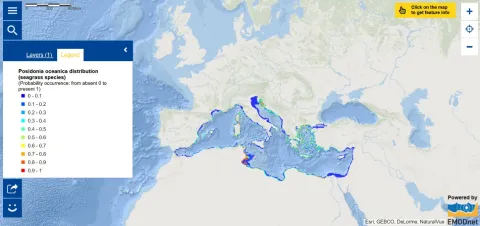Map of the Week – Posidonia oceanica distribution