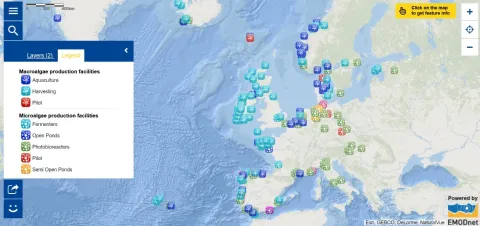 Map of the Week – Algae Production Facilities
