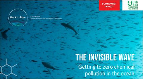 'Invisible Wave' is the report underlying the discussion paper 'The Zero-Pollution Ocean: a call to close the evidence gap'