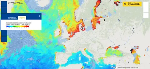 Map of the Week – Global Ocean Chlorophyll (daily)