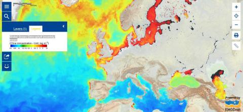 Map of the Week – Global Ocean Chlorophyll (monthly-mean)