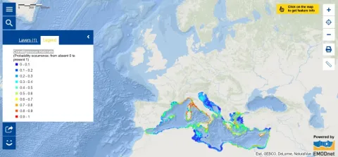 Map of the Week - Coralligenous Habitats