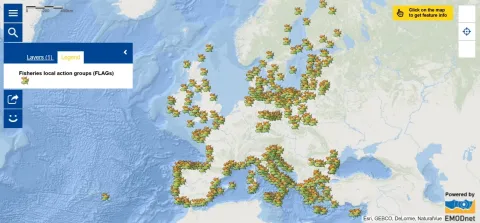 Map of the Week – Fisheries Local Action Groups (FLAGs)