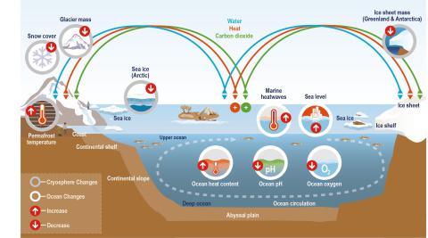 Schematic illustration of key components and changes of the ocean and cryosphere, and their linkages in the Earth system through the global exchange of heat, water, and carbon. ©IPCC (2019) Technical Summary (Pörtner H-O et al.)