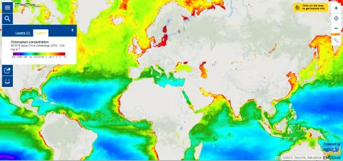 Map of the week - Chlorophyll Concentration
