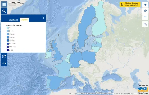 Map of the week – Quotas by species