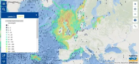 Map of the Week – Marine bird observations