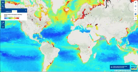 Map of the Week – Chlorophyll concentration unlocks marine information