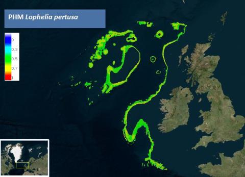 Predictive Habitat Model of Lophelia pertusa in Irish Waters (©EMODnet Seabed Habitats)