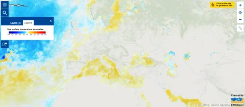 Map of the week - Sea surface temperature anomalies