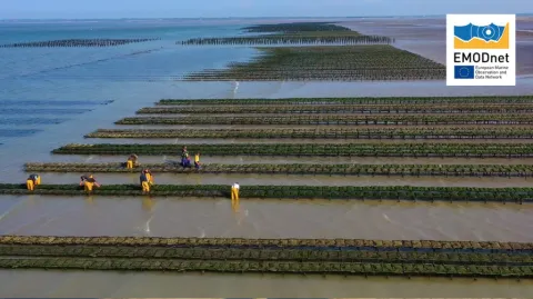 Aquaculture Farms