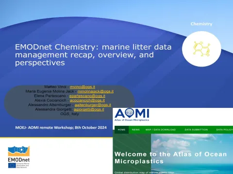 © EMODnet Chemistry: Workshop on the AOMI database to improve the monitoring of microplastics in the ocean: EMODnet Chemistry showed how it has been managing data on marine litter since 2017.