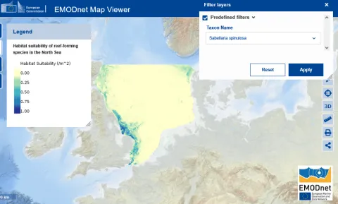 EMODnet Mapviewer Screenshot Sabellaria spinulosa habitat suitability in the North Sea