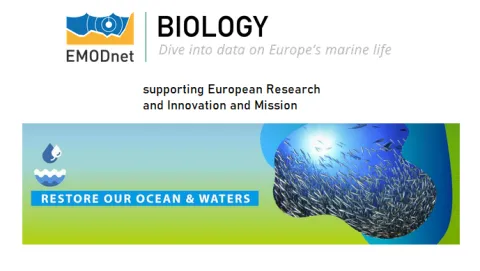 EMODnet Biology workshop for European Research and Innovation and Mission: Restore our Ocean and Waters biodiversity projects (©EMODnet Biology)