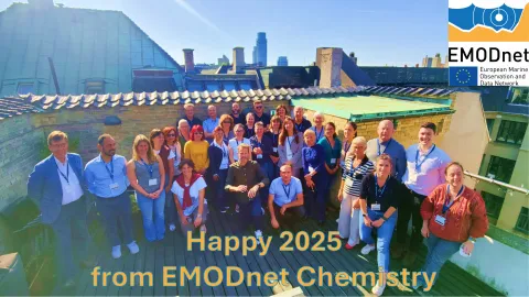 Happy new year from EMODnet Chemistry 