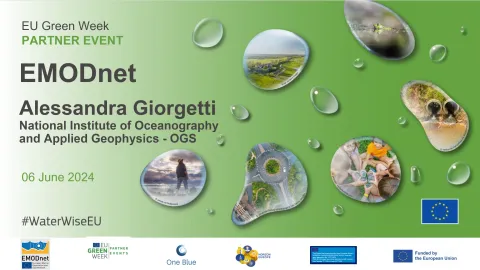 ©ONE-BLUE project webinar 